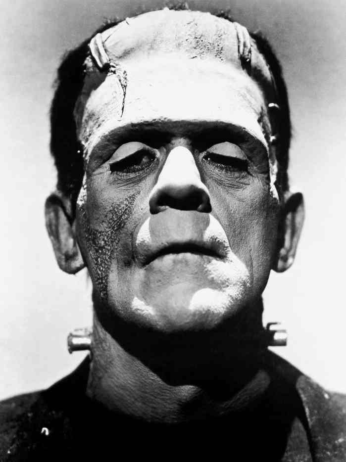 Frankenstein mary shelley essay